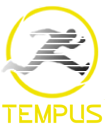 Tempus MUD